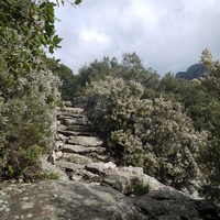 Photo de france - La randonnée du Mont Caroux